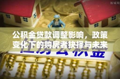 荥经公积金贷款调整影响，政策变化下的购房者抉择与未来趋势