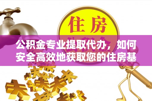 荥经公积金专业提取代办，如何安全高效地获取您的住房基金