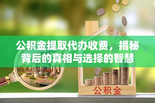 荥经公积金提取代办收费，揭秘背后的真相与选择的智慧