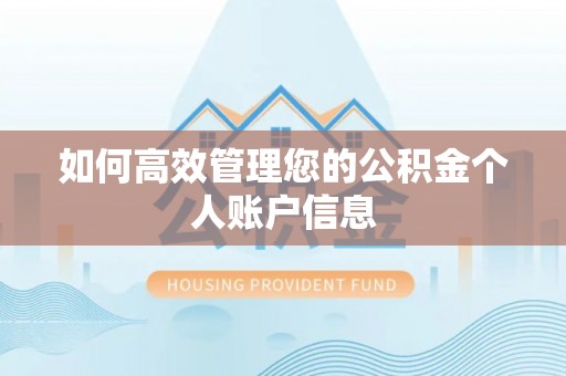 荥经如何高效管理您的公积金个人账户信息