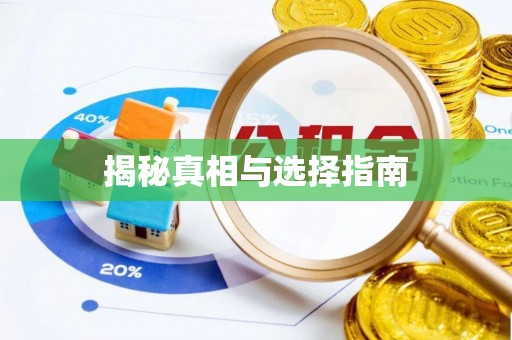 荥经揭秘真相与选择指南