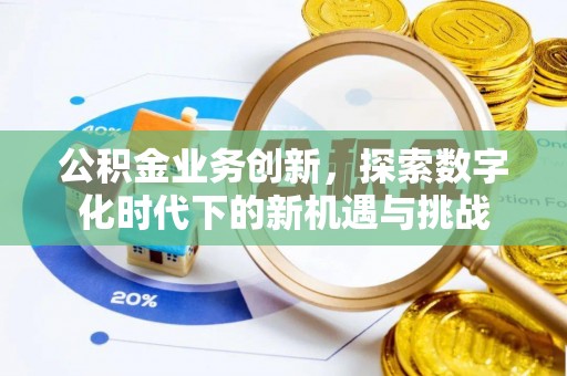 荥经公积金业务创新，探索数字化时代下的新机遇与挑战