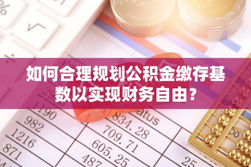 荥经如何合理规划公积金缴存基数以实现财务自由？