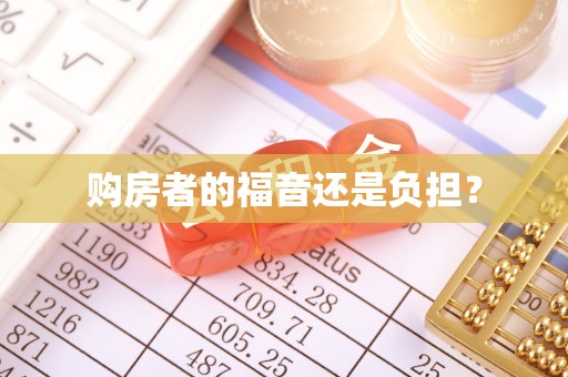 荥经购房者的福音还是负担？
