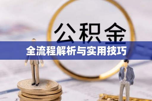 荥经全流程解析与实用技巧