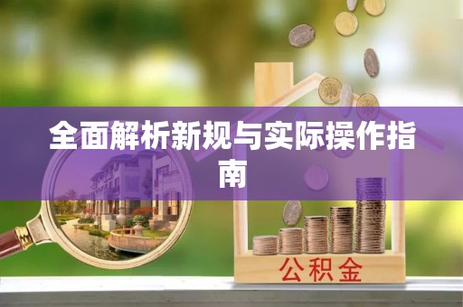 荥经全面解析新规与实际操作指南