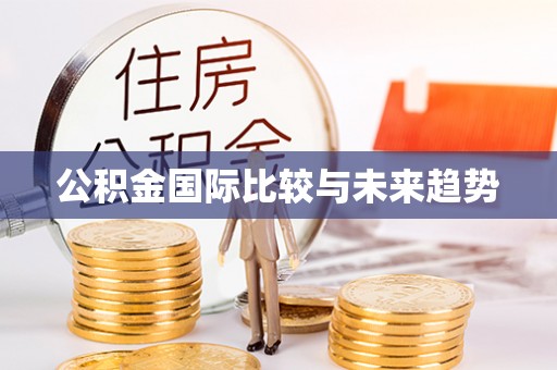荥经公积金国际比较与未来趋势