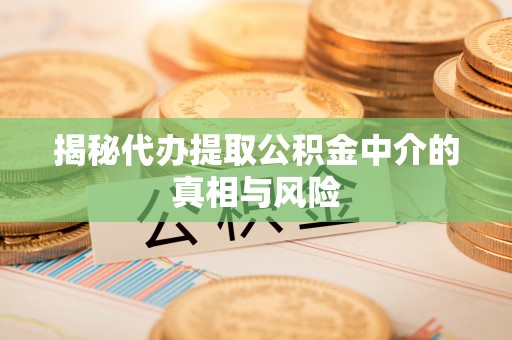 荥经揭秘代办提取公积金中介的真相与风险