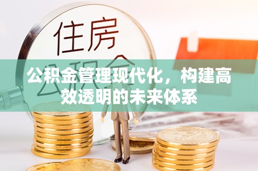 荥经公积金管理现代化，构建高效透明的未来体系