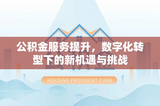 荥经公积金服务提升，数字化转型下的新机遇与挑战