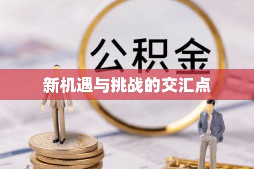 荥经新机遇与挑战的交汇点