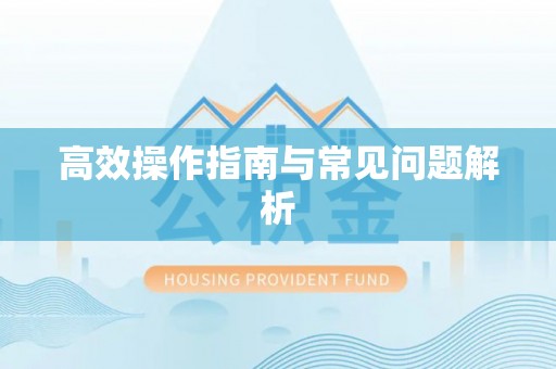 荥经高效操作指南与常见问题解析