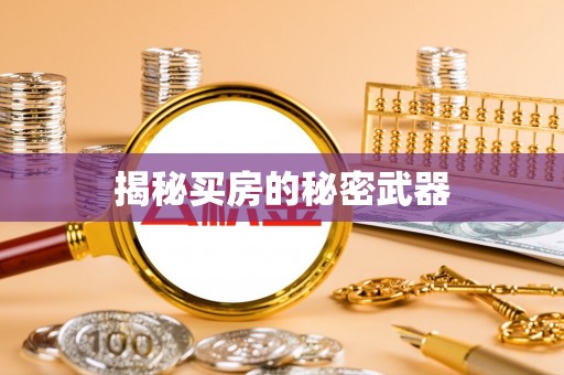 荥经揭秘买房的秘密武器