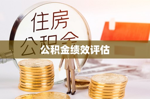荥经公积金绩效评估