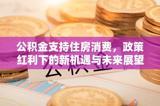 荥经公积金支持住房消费，政策红利下的新机遇与未来展望