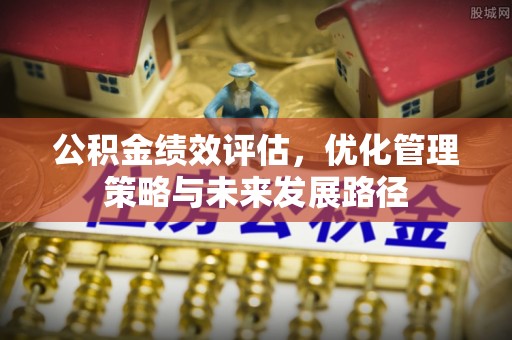 荥经公积金绩效评估，优化管理策略与未来发展路径