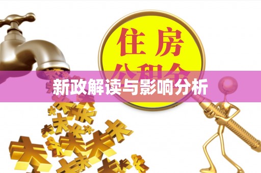 荥经新政解读与影响分析