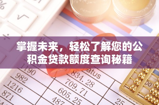荥经掌握未来，轻松了解您的公积金贷款额度查询秘籍