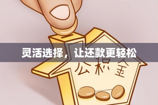 荥经灵活选择，让还款更轻松