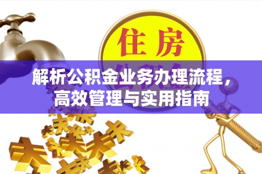 荥经解析公积金业务办理流程，高效管理与实用指南