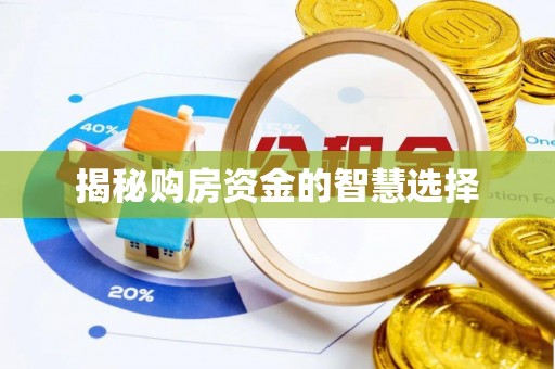 荥经揭秘购房资金的智慧选择