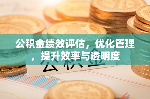 荥经公积金绩效评估，优化管理，提升效率与透明度