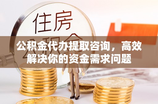 荥经公积金代办提取咨询，高效解决你的资金需求问题