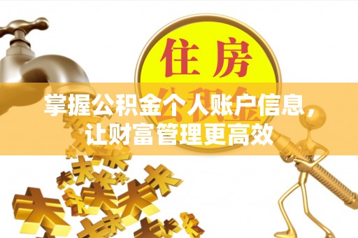 荥经掌握公积金个人账户信息，让财富管理更高效