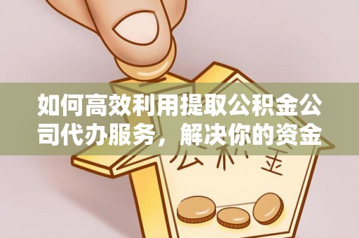 荥经如何高效利用提取公积金公司代办服务，解决你的资金难题