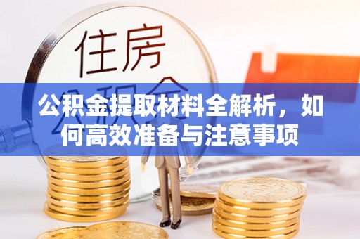 荥经公积金提取材料全解析，如何高效准备与注意事项
