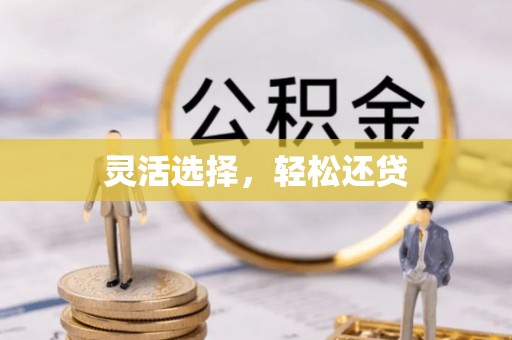 荥经灵活选择，轻松还贷