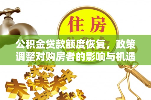 荥经公积金贷款额度恢复，政策调整对购房者的影响与机遇