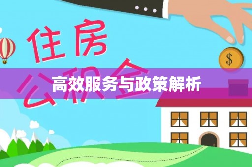 荥经高效服务与政策解析