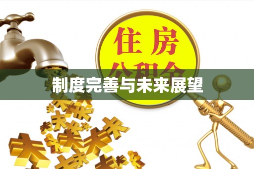 荥经制度完善与未来展望