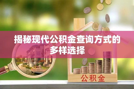 荥经揭秘现代公积金查询方式的多样选择