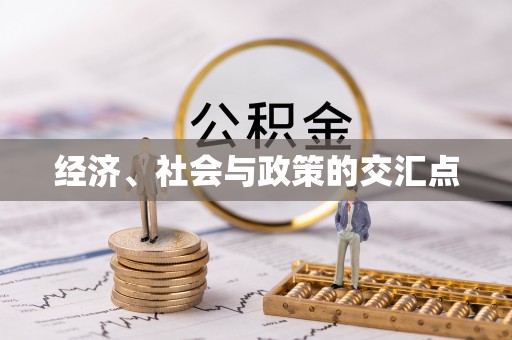 荥经经济、社会与政策的交汇点