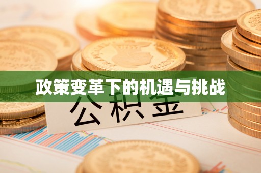 荥经政策变革下的机遇与挑战