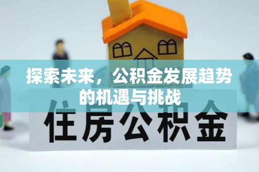 荥经探索未来，公积金发展趋势的机遇与挑战