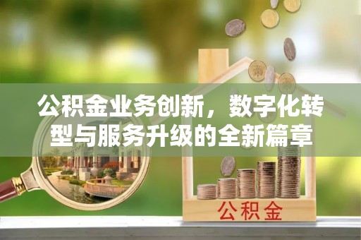 荥经公积金业务创新，数字化转型与服务升级的全新篇章