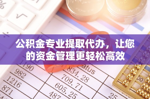 荥经公积金专业提取代办，让您的资金管理更轻松高效