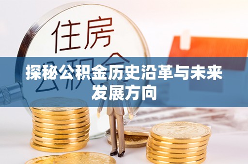 荥经探秘公积金历史沿革与未来发展方向