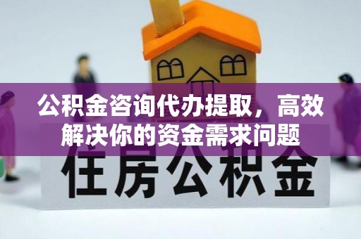 荥经公积金咨询代办提取，高效解决你的资金需求问题
