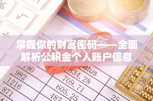荥经掌握你的财富密码——全面解析公积金个人账户信息