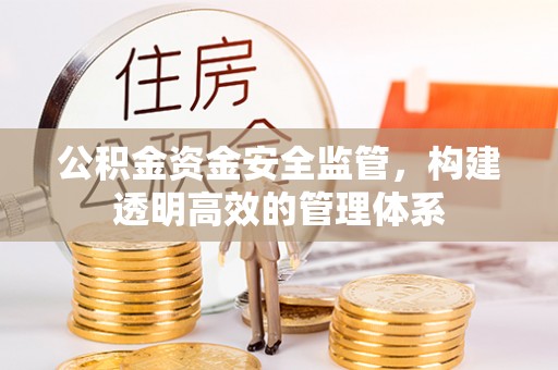 荥经公积金资金安全监管，构建透明高效的管理体系