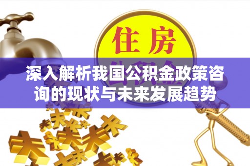 荥经深入解析我国公积金政策咨询的现状与未来发展趋势