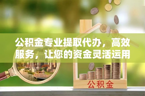 荥经公积金专业提取代办，高效服务，让您的资金灵活运用