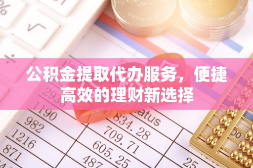 荥经公积金提取代办服务，便捷高效的理财新选择