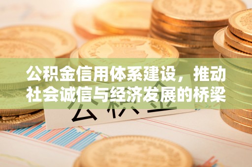 荥经公积金信用体系建设，推动社会诚信与经济发展的桥梁