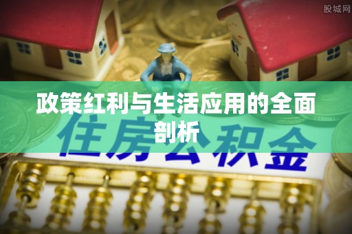 荥经政策红利与生活应用的全面剖析