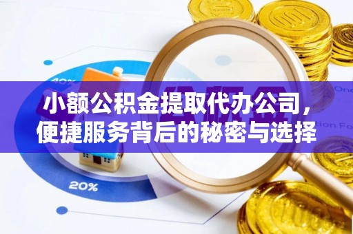 荥经小额公积金提取代办公司，便捷服务背后的秘密与选择指南